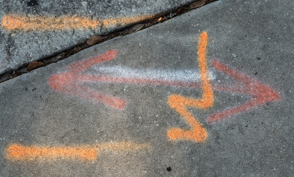 03212015 Walk Home from Farmers Mkt-65