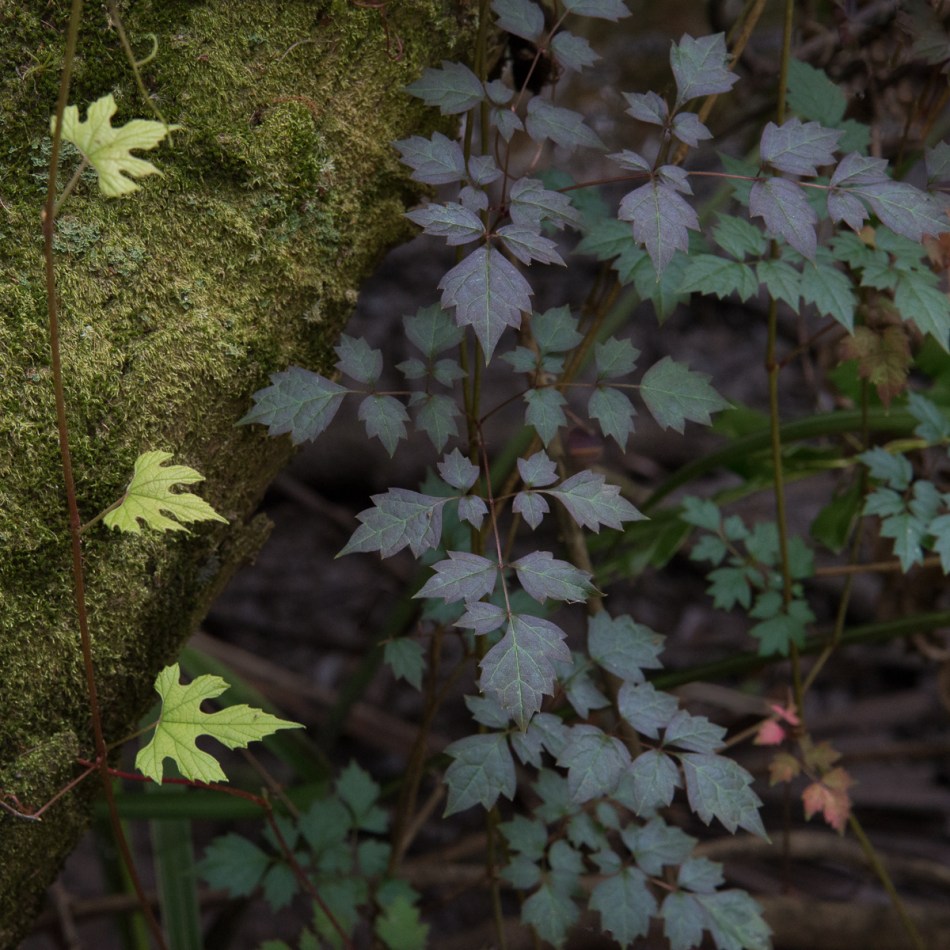 04122015-untitled-194