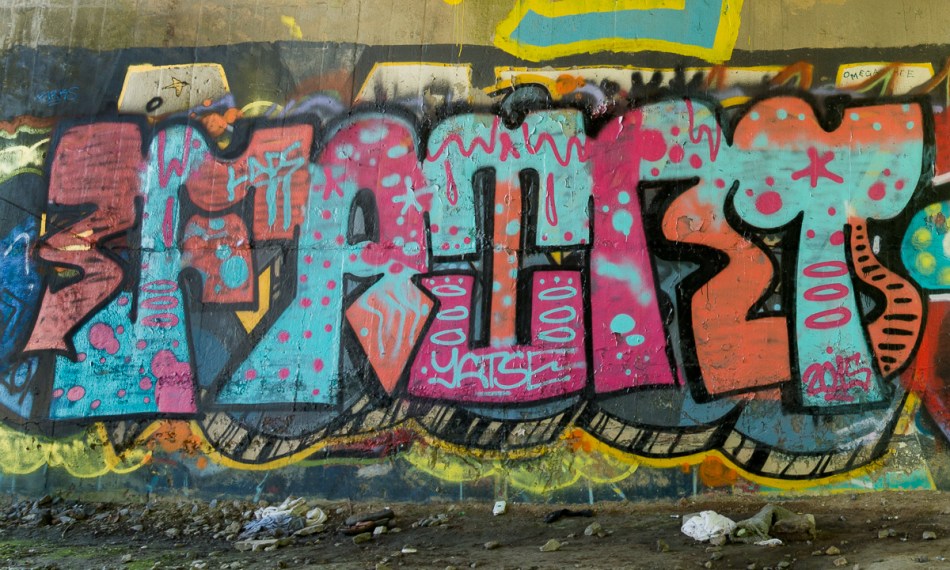 2015 North Carolina—Asheville-153