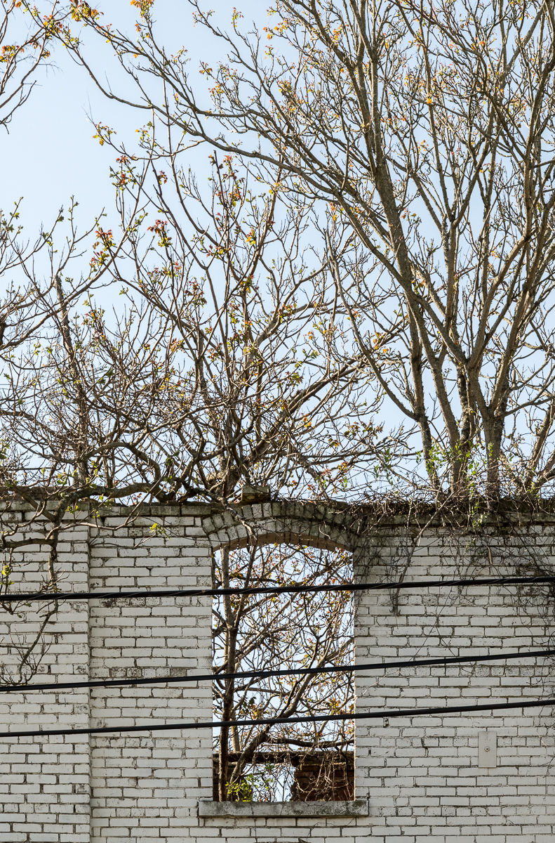 2015 North Carolina—Asheville-65