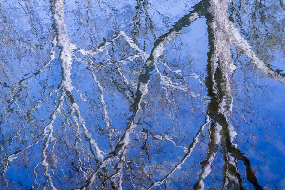 05032015 Schoepfle Garden-51