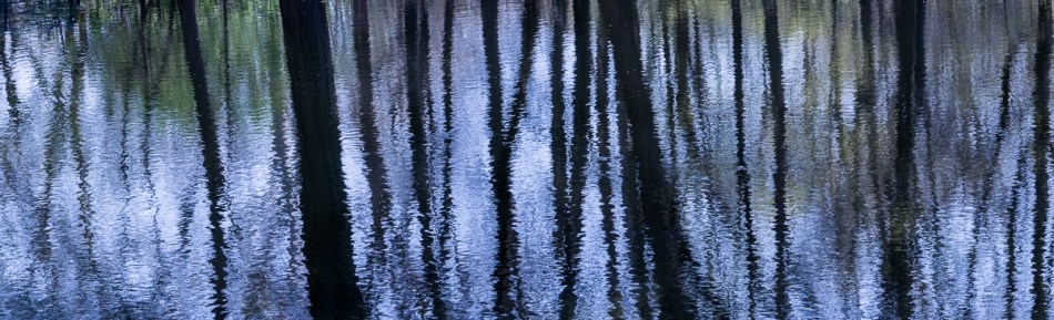 05032015 Schoepfle Garden-67