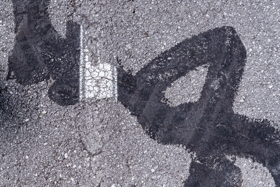 05242015 Schoepfle Garden-142