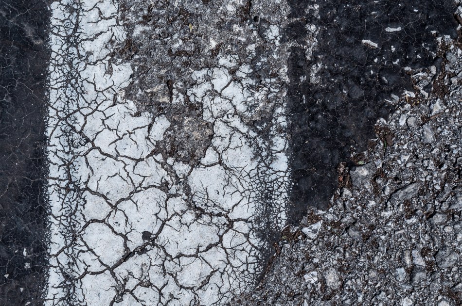 05242015 Schoepfle Garden-144