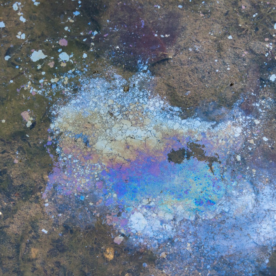 09032014 Schoepfle Garden-60