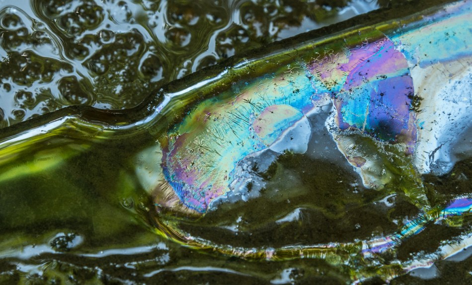 07032015 Schoepfle Garden-64