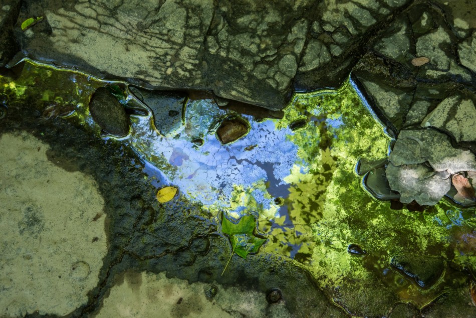 07312015 Schoepfle Garden-165-3