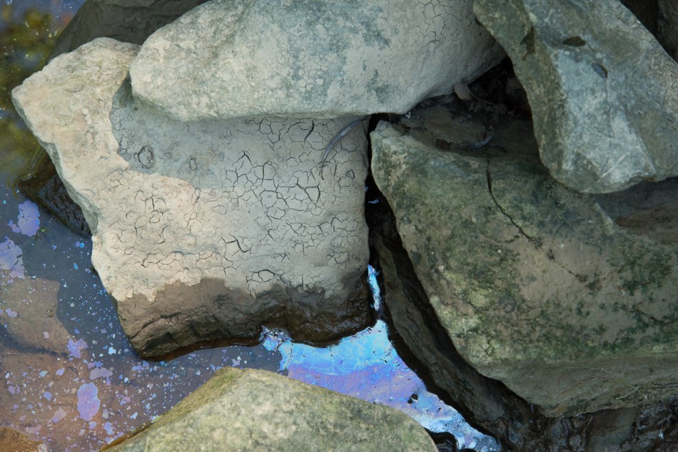 07312015 Schoepfle Garden-219