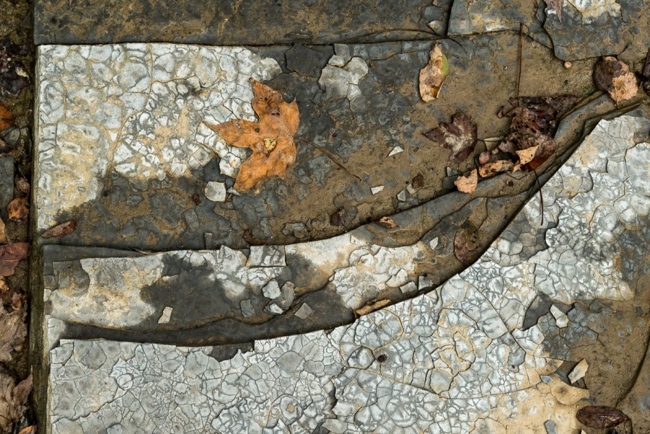 09182015 Schoepfle Garden-100