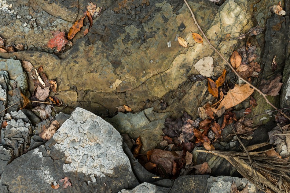 09182015 Schoepfle Garden-106