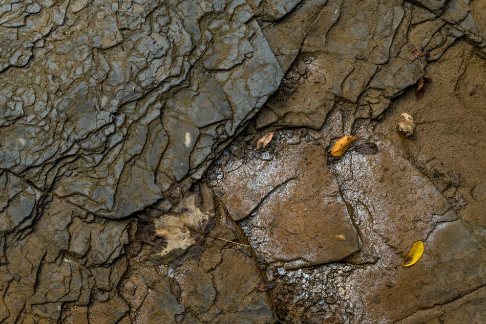 09182015 Schoepfle Garden-109