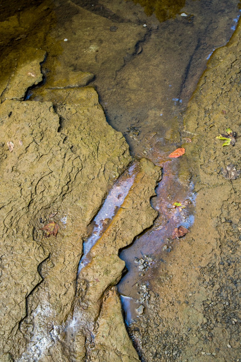 09182015 Schoepfle Garden-129-Edit