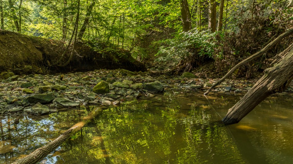 09182015 Schoepfle Garden-173