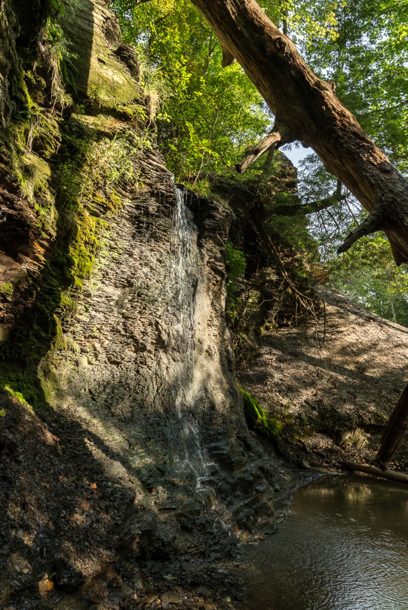 09182015 Schoepfle Garden-179