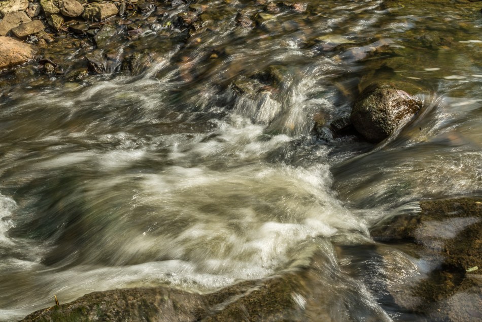 09182015 Schoepfle Garden-247