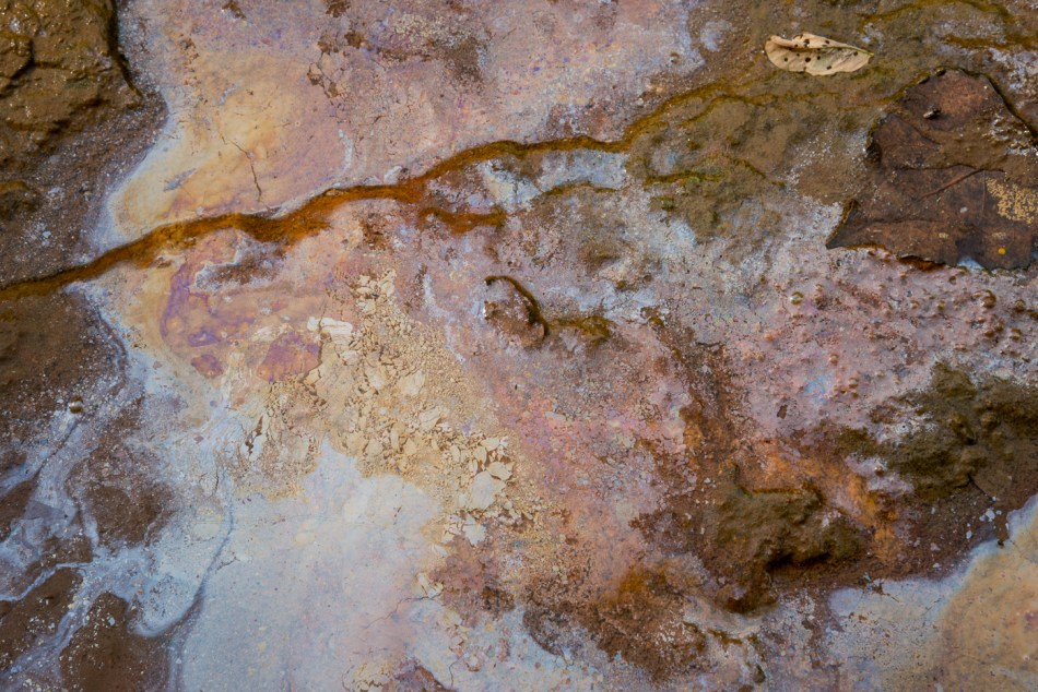 09182015 Schoepfle Garden-266-Edit