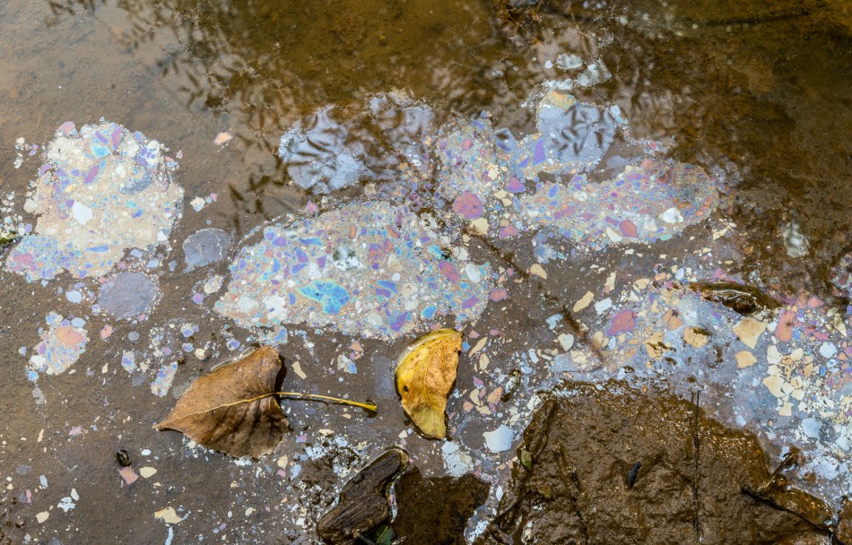 09182015 Schoepfle Garden-287