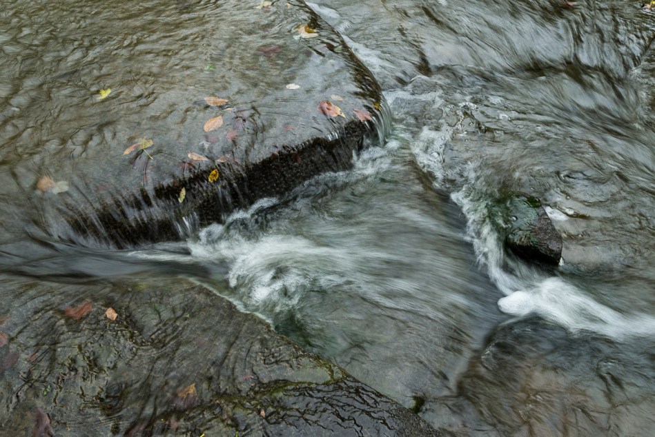 09182015 Schoepfle Garden-30