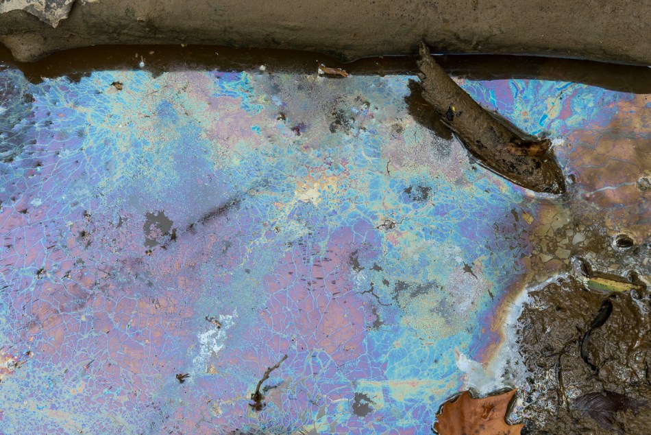 09182015 Schoepfle Garden-316