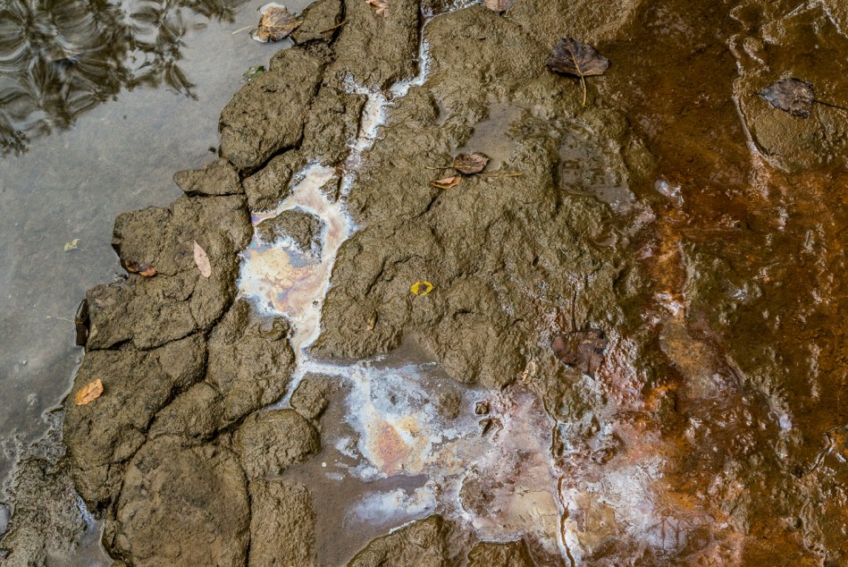 09182015 Schoepfle Garden-49