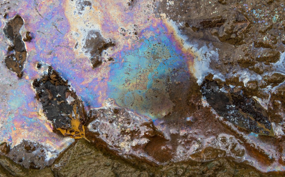 09182015 Schoepfle Garden-86