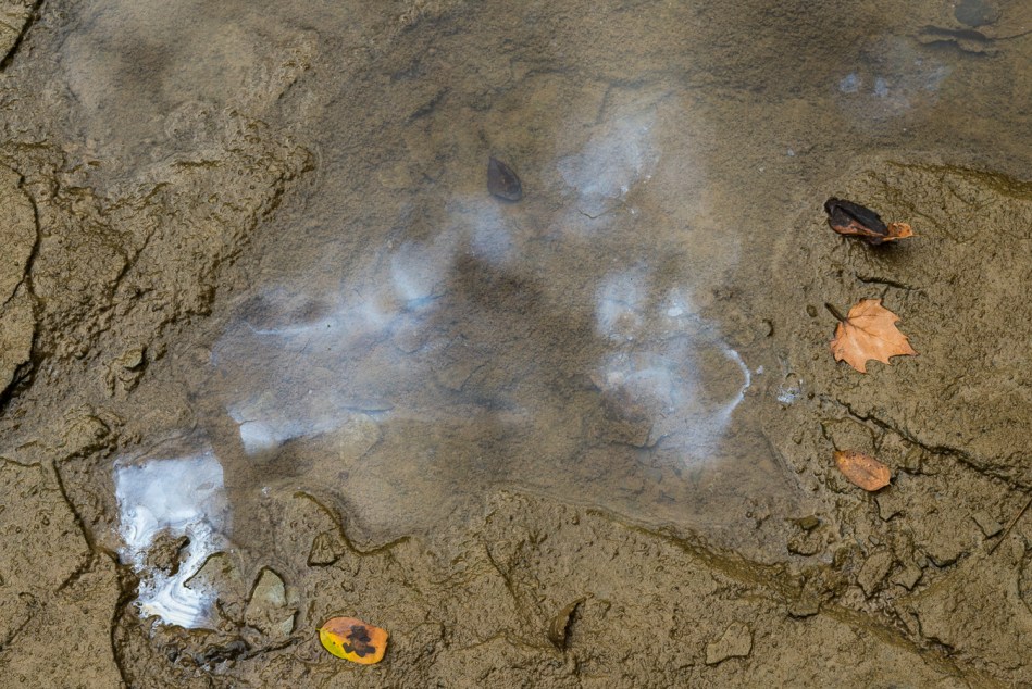 09182015 Schoepfle Garden-99