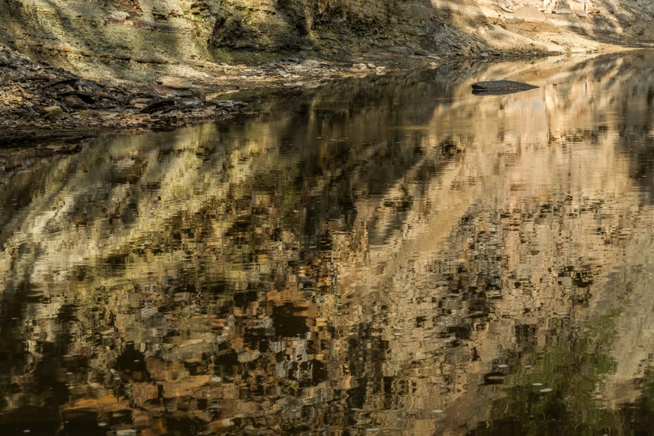 09182015 Schoepfle Garden-200