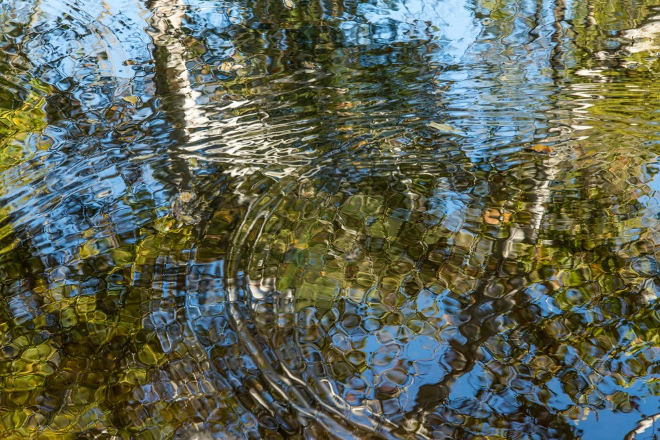 10112015 Schoepfle Garden-148