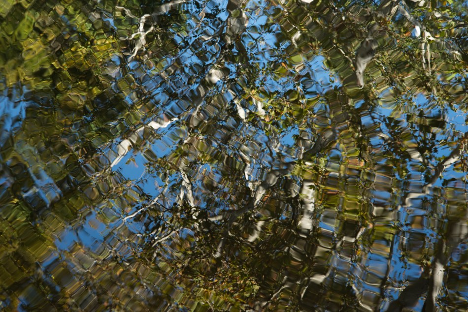 10112015 Schoepfle Garden-242