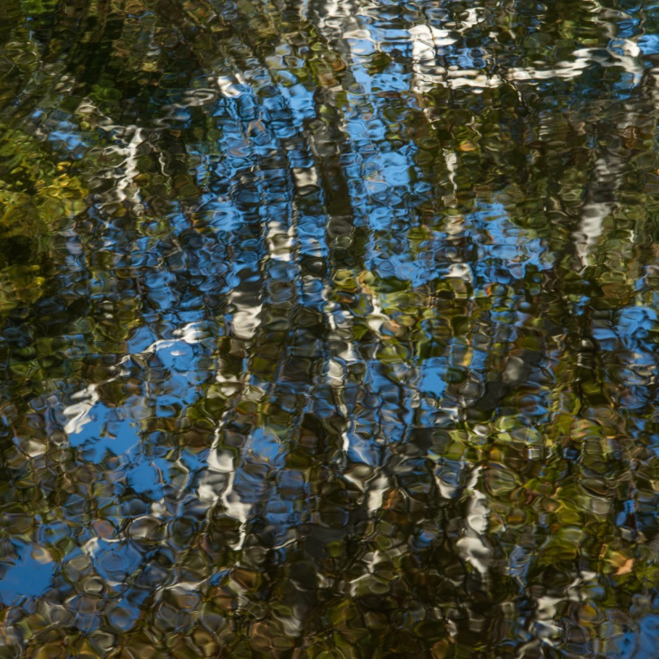 10112015 Schoepfle Garden-248