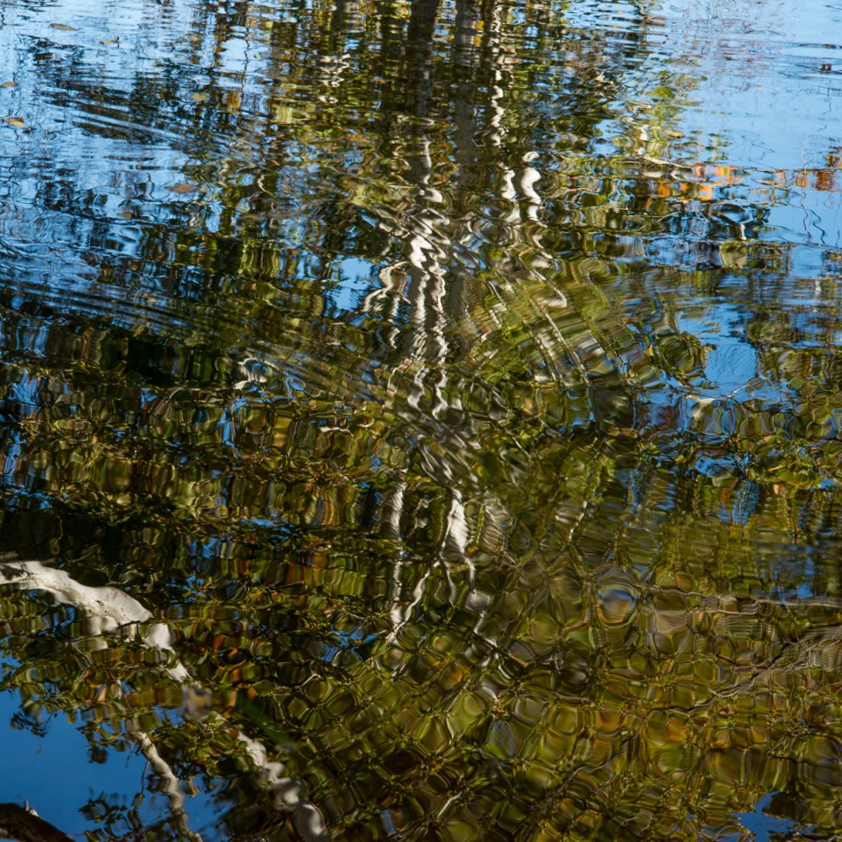 10112015 Schoepfle Garden-93