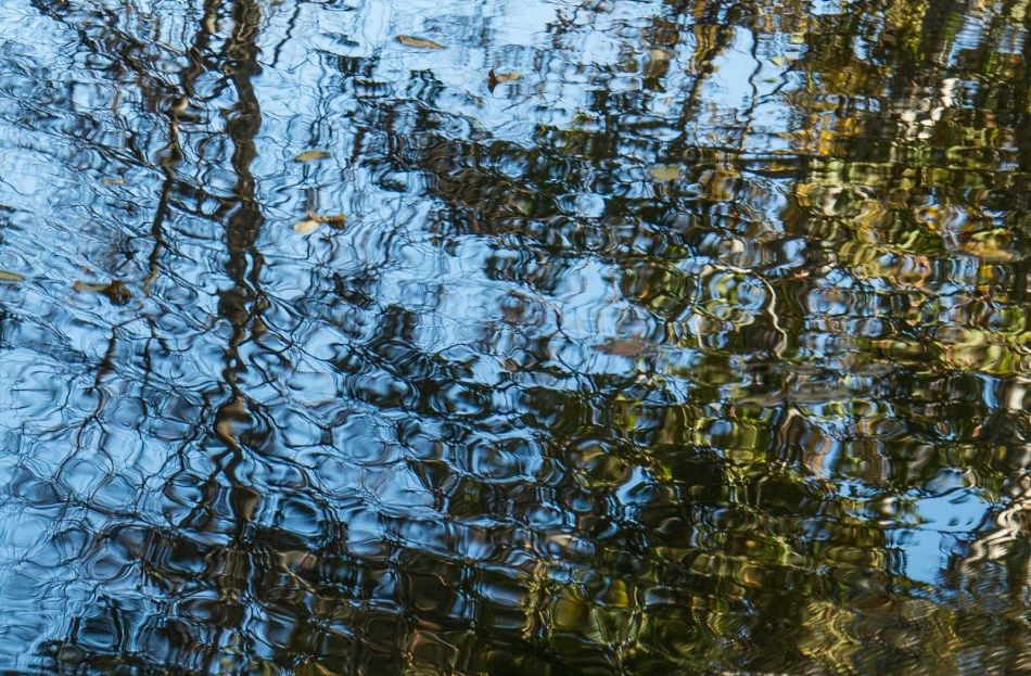 10112015 Schoepfle Garden-96-3