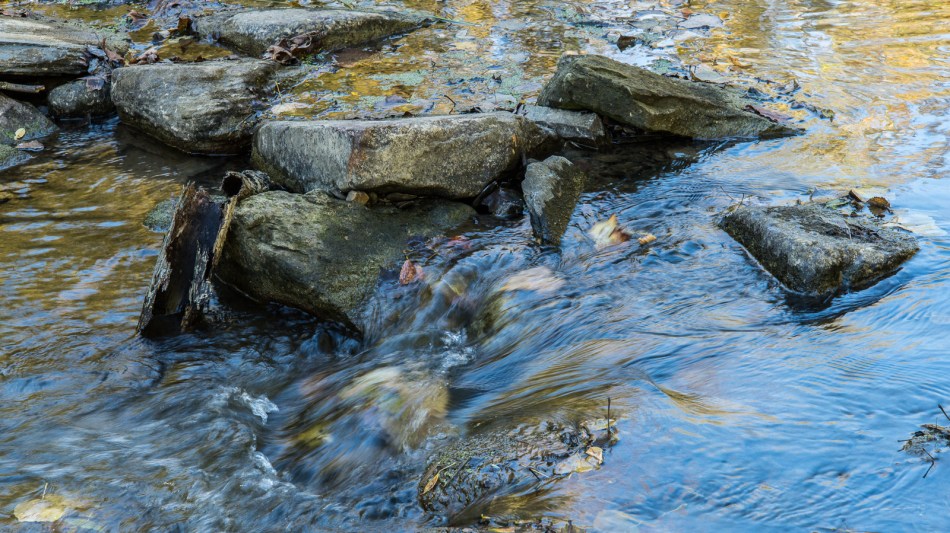 10112015 Schoepfle Garden-440