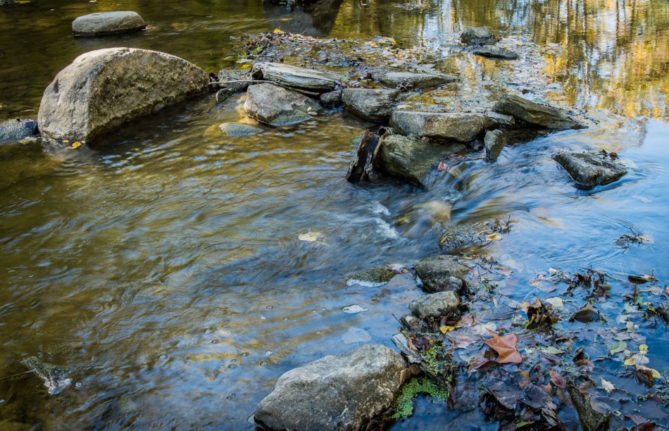 10112015 Schoepfle Garden-446