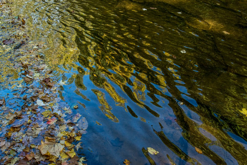 10112015 Schoepfle Garden-537