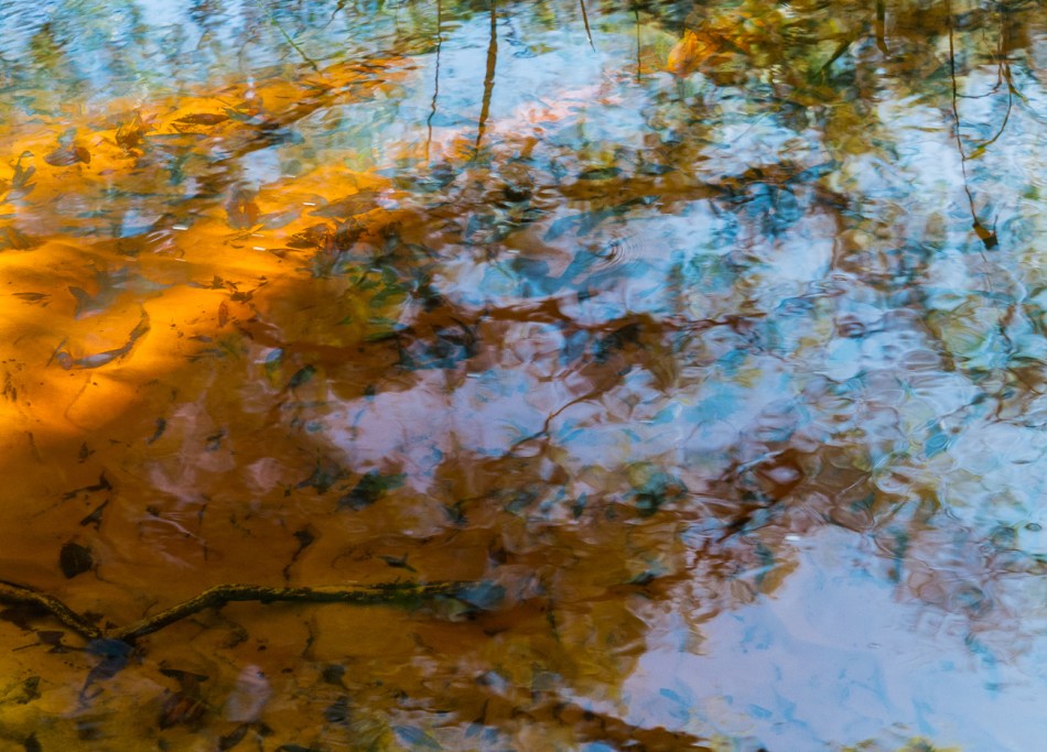 12202015 Myakka River State Park-101-2