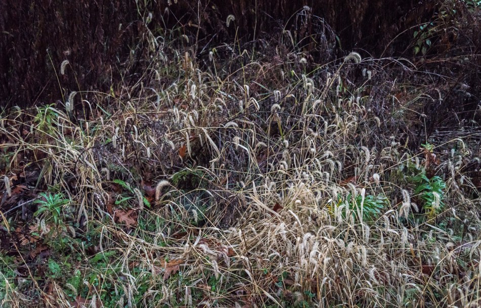 Our Ohio Property 11112015-15