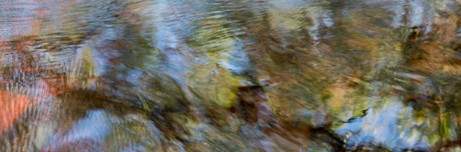 12202015 Myakka River State Park-140