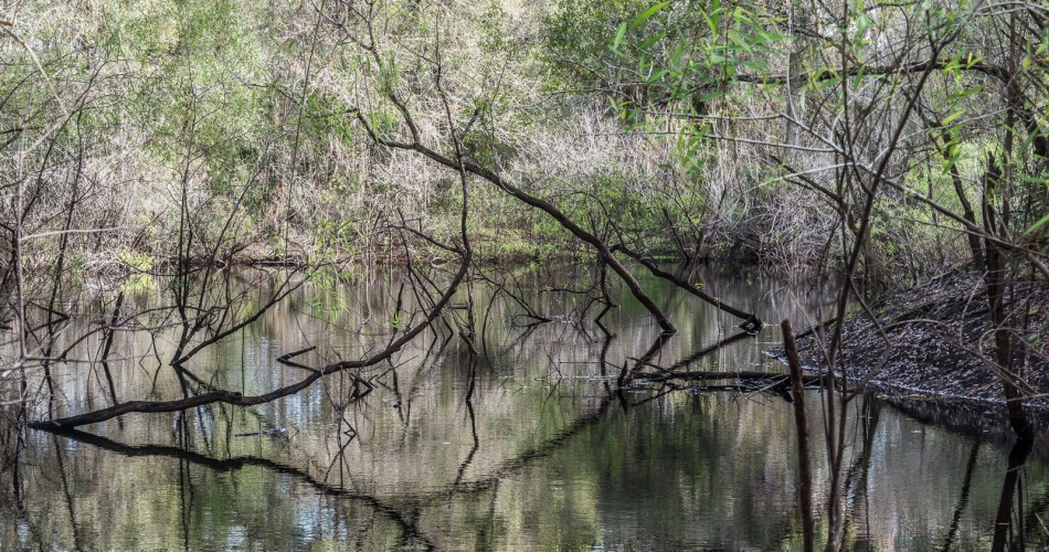 12272015 Venice Myakka River Park-58