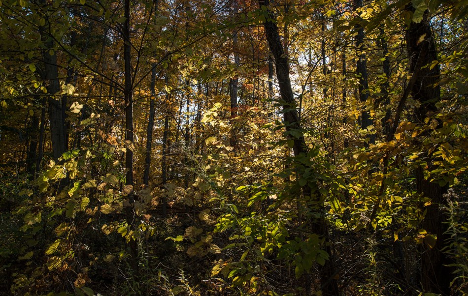 Our-Ohio-Property-10252015-4