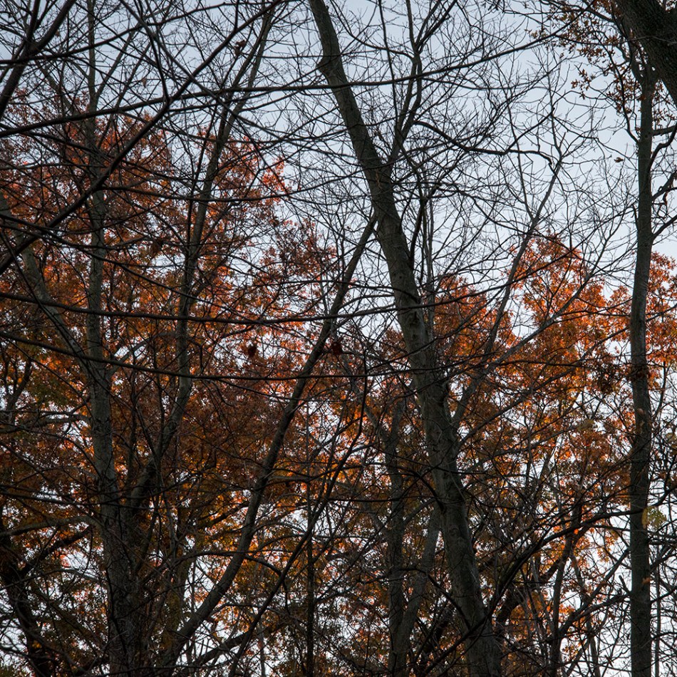 Our-Ohio-Property-11082015-21