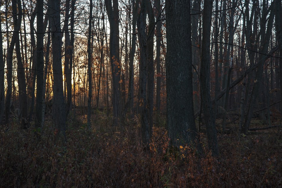 Our-Ohio-Property-11082015-49