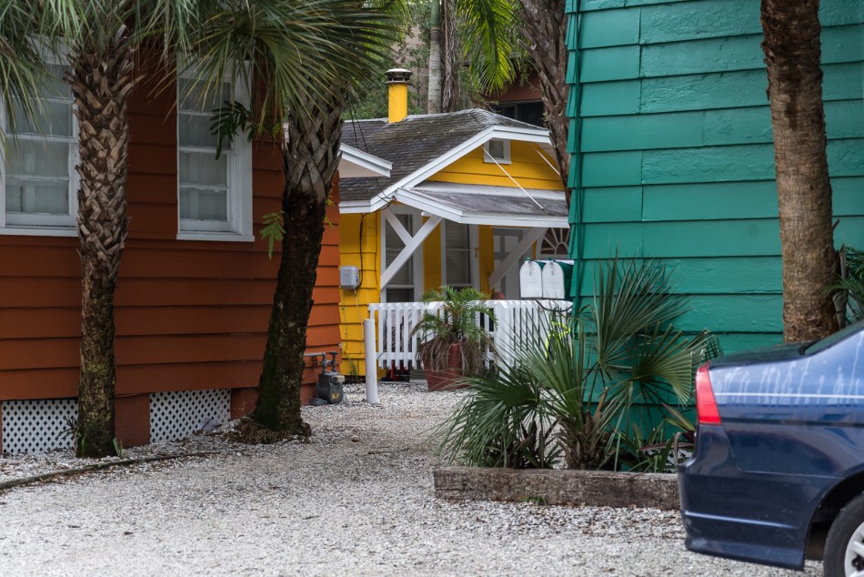 01092016 Walk Home from Farmers Mkt-38