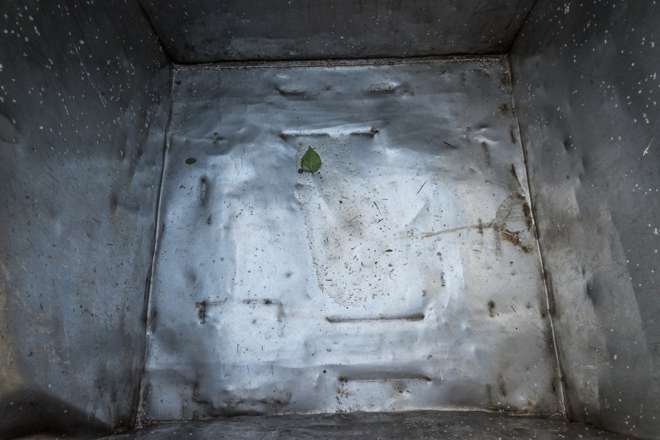 01242016 Cortez-55-Edit-Edit