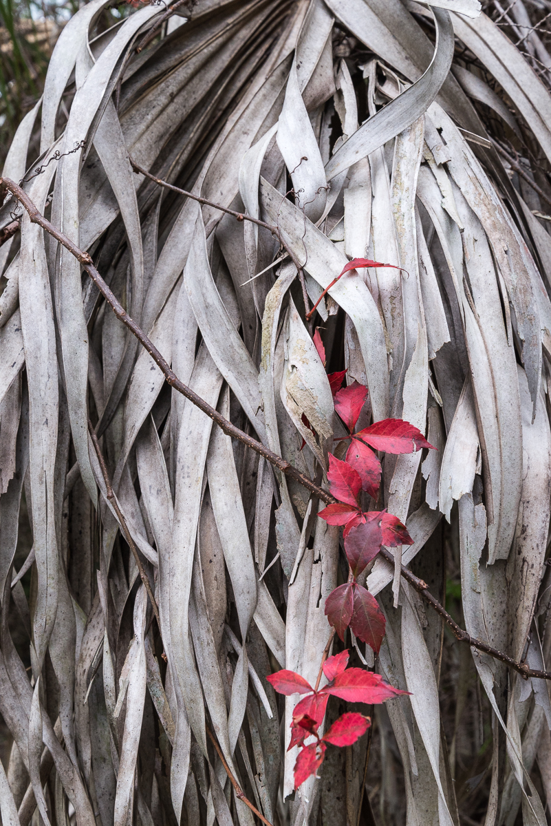 01312016 South Lido Park-18