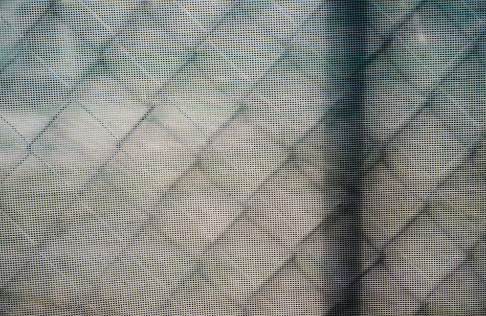 03052016 Walk Home from Farmers Market-30-Edit-2