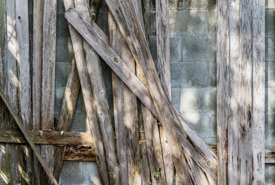 03052016 Walk Home from Farmers Market-86