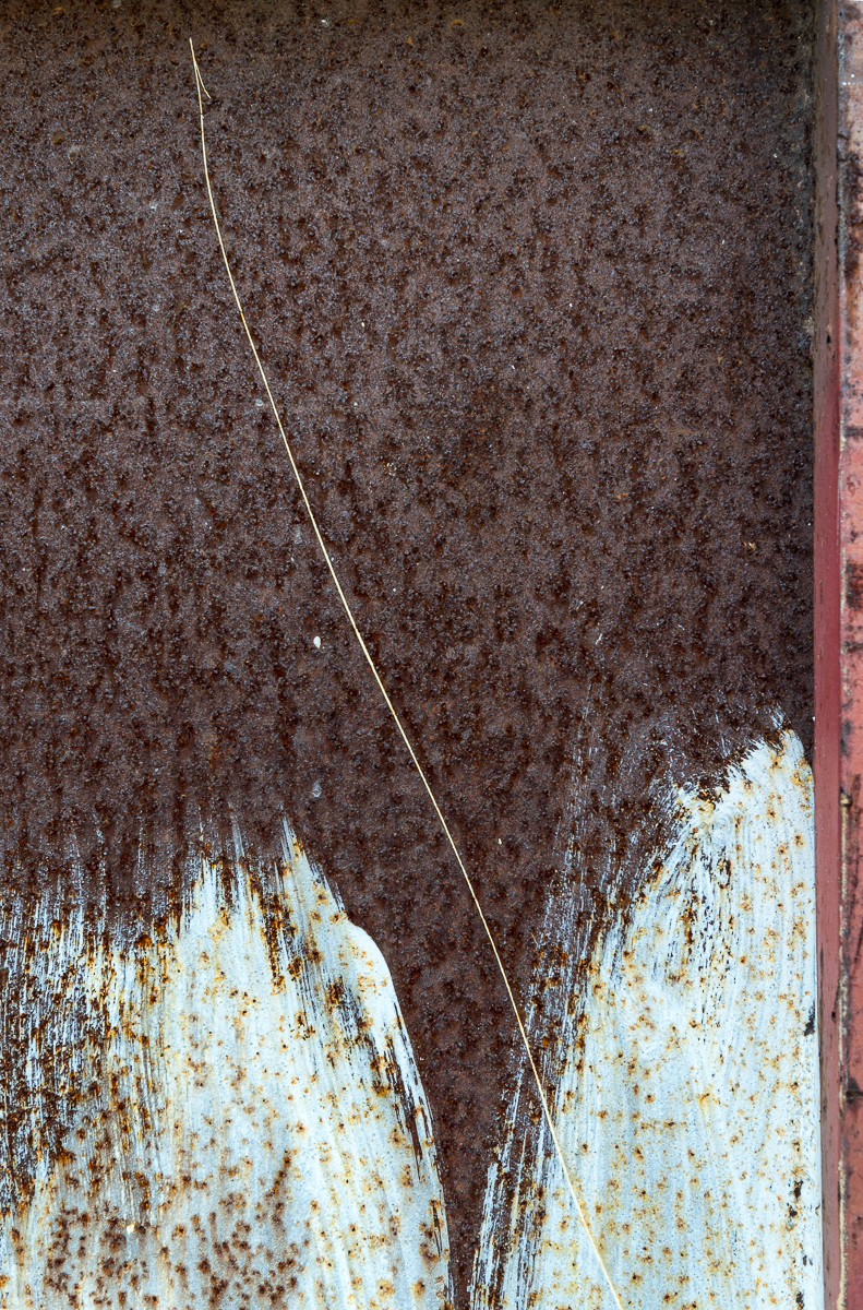 03132016 Morton's Area-27