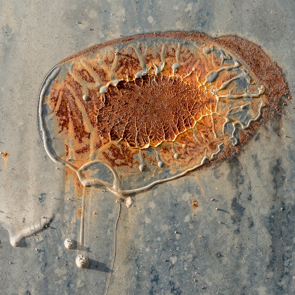 03132016 Morton's Area-46-2