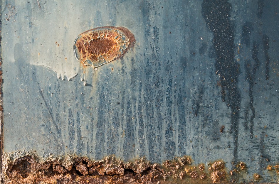 03132016 Morton's Area-51